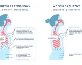 Ilustracja pokazuje dwa rodzaje wdechu: piersiowo-przeponowy, gdzie przepona stara się pociągnąć w dół, oraz brzuszny, gdzie kopuła przepony jest ściągana w dół.