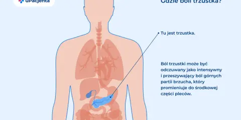 Anatomia człowieka z zaznaczoną trzustką. Ból trzustki może być odczuwany jako intensywny ból brzucha promieniujący do pleców.