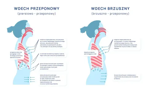 Ilustracja pokazuje dwa rodzaje wdechu: przeponowy i brzuszny. Wdech przeponowy angażuje przeponę, która opada, ułatwiając oddychanie.