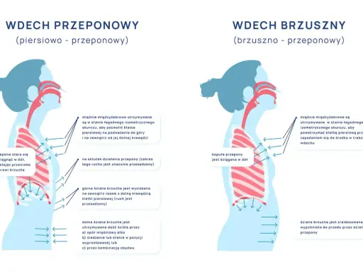 Ilustracja pokazuje dwa rodzaje wdechu: przeponowy i brzuszny. Wdech przeponowy angażuje przeponę, która opada, ułatwiając oddychanie.