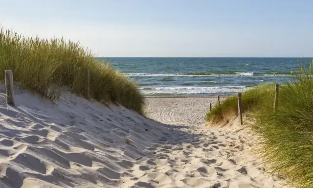 Piaskowa ścieżka prowadzi na plażę. Kiedy najlepiej jechać nad morze po jod? Wiosna i jesień to idealne pory roku.