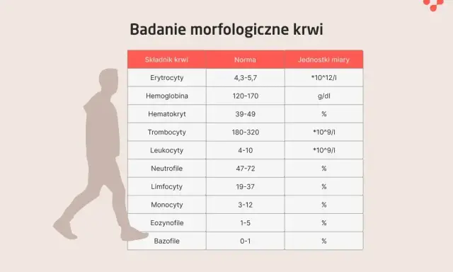 Tabela z normami badań krwi: erytrocyty, hemoglobina, hematokryt, trombocyty, leukocyty, neutrofile, limfocyty, monocyty, eozynofile, bazofile. Sód norma nie jest tu wymieniony.
